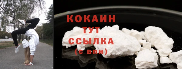 PSILOCYBIN Каменка