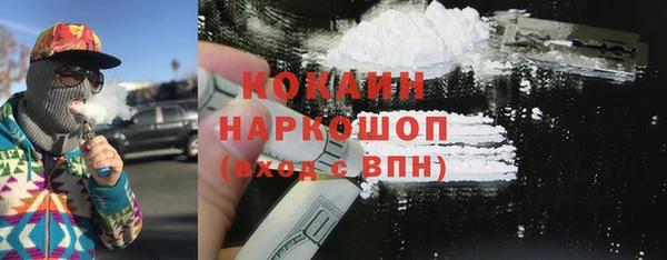 PSILOCYBIN Каменка
