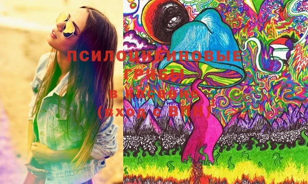 эйфоретик Каменногорск
