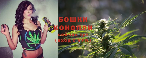 PSILOCYBIN Каменка