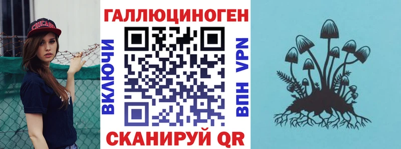 Купить закладки  Артём  Псилоцибиновые грибы Psilocybine cubensis 