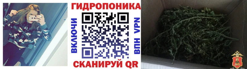 Бошки марихуана SATIVA & INDICA  Купить закладки  Артём 